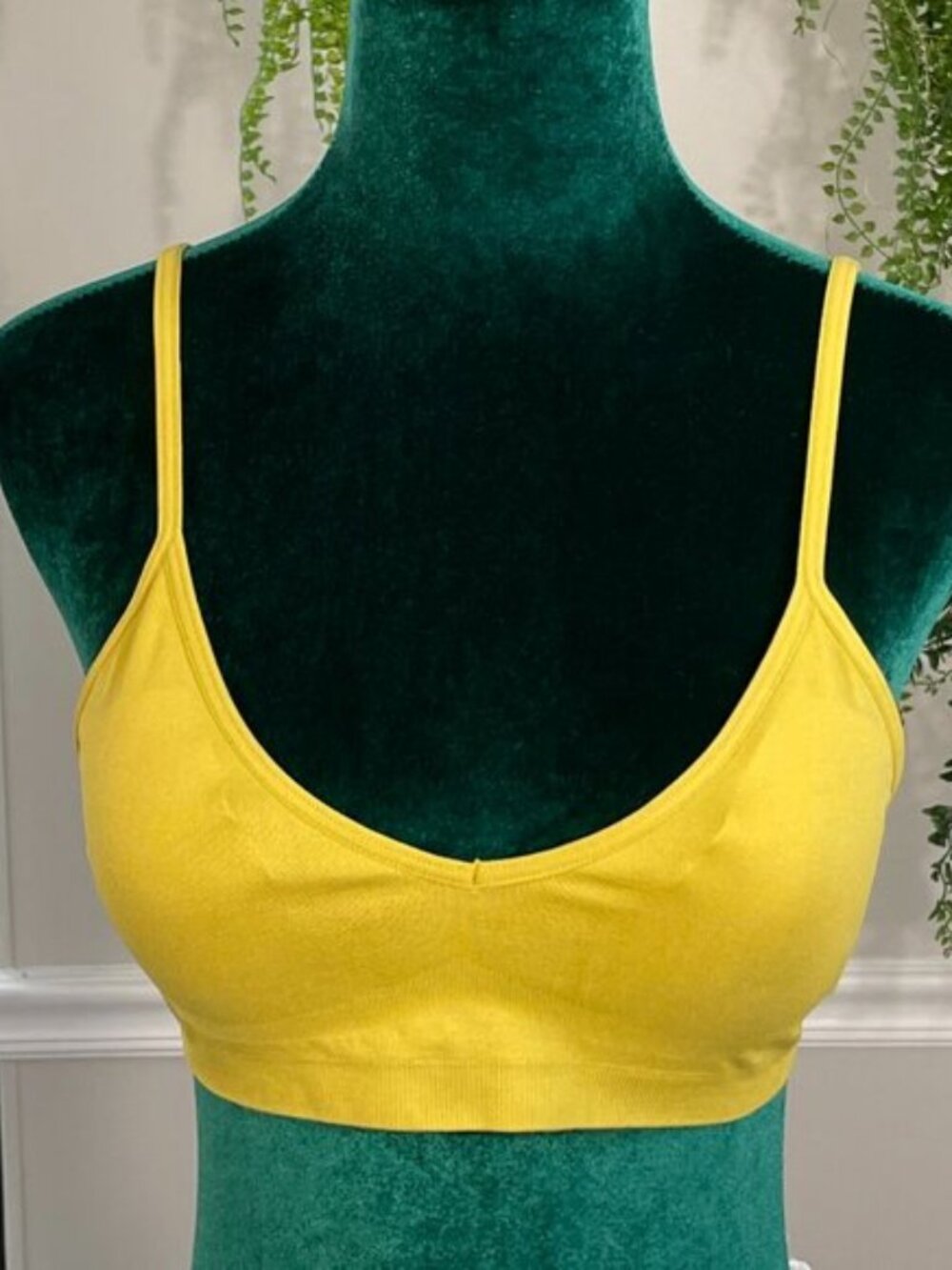 Zeanna Outfitters | Seamless Comfort Wirefree Bralette in Wasabi